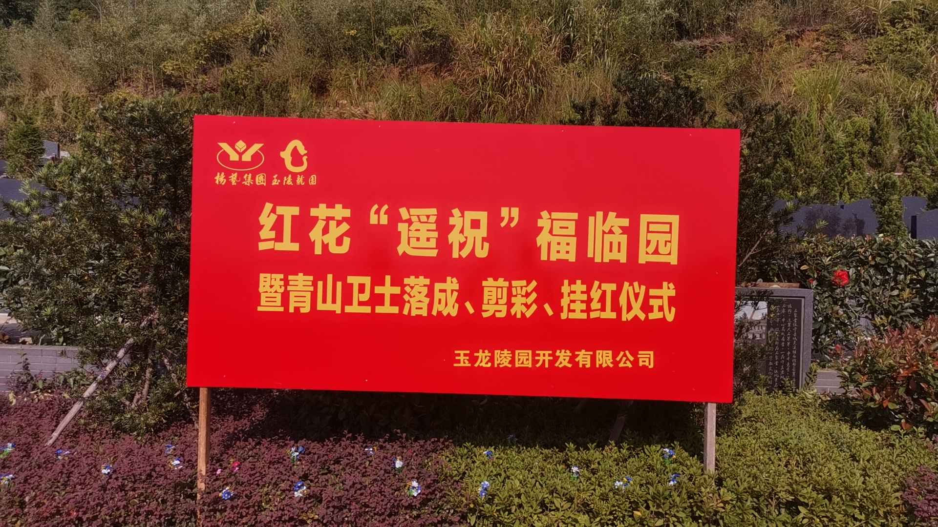 红花传爱意，情满玉龙园！