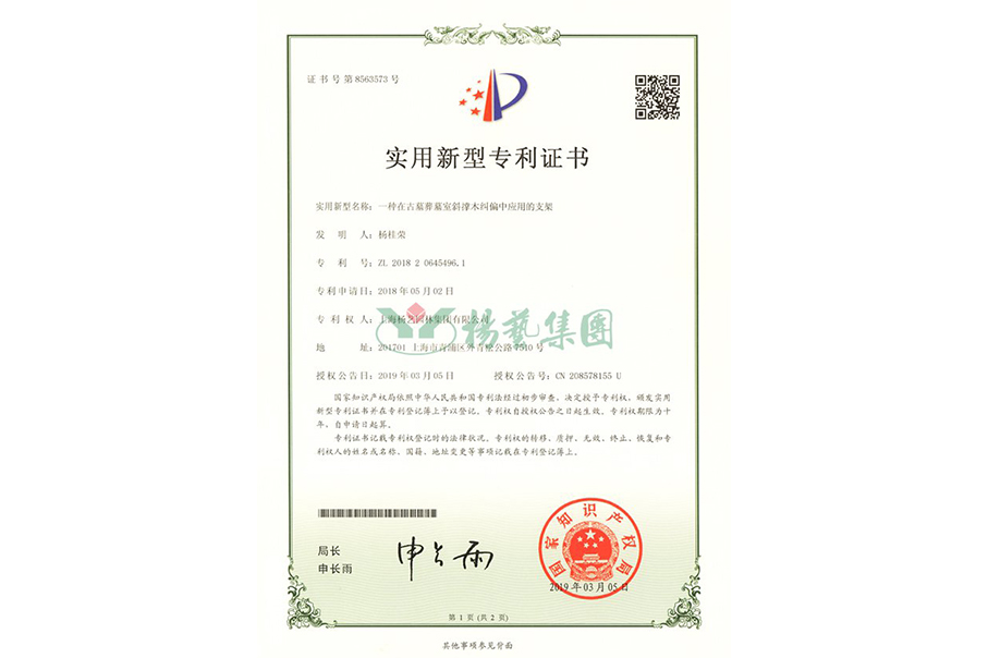 实用新型专利：一种在古墓葬墓室斜撑木纠偏中