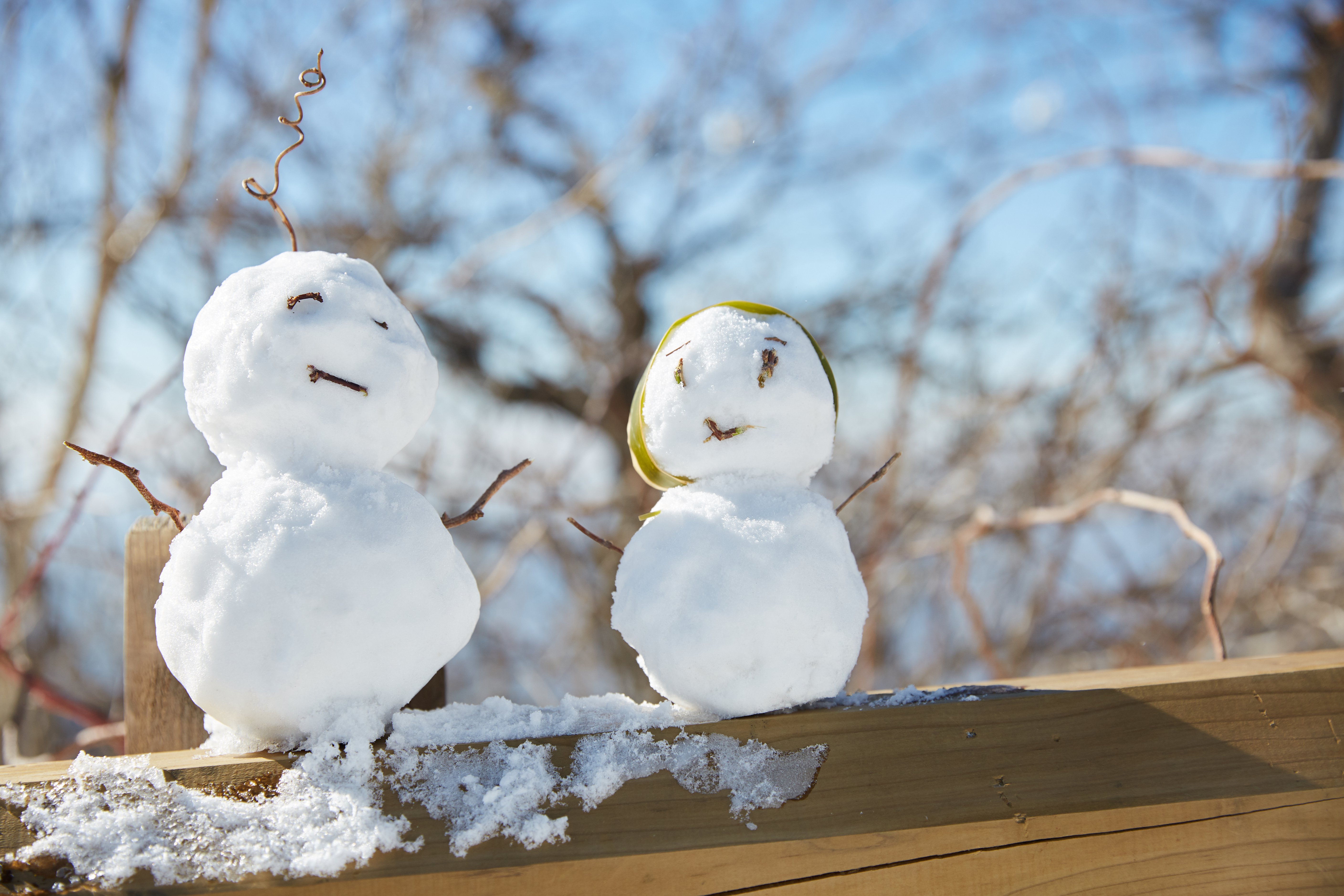 冬至，暖“杨”相伴 | 尊龙凯时人生就是搏人全力配合各墓园冬至落葬