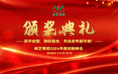 2024年尊龙凯时人生就是搏集团迎新春年会暨颁奖典礼盛大举行