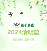 风起清明 遥寄相思|尊龙凯时人生就是搏集团?2024清明篇