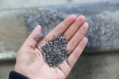 石语新章：仿真保护箱中的生态启示录