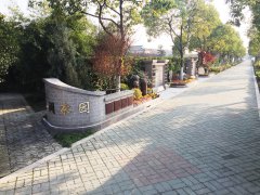 城市最后一平米：生态葬，是与自然的和解？还是无奈的选择？